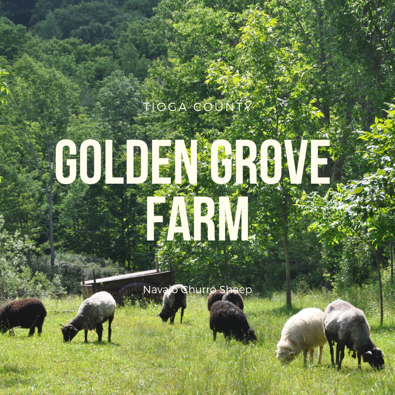 post code golden grove farm