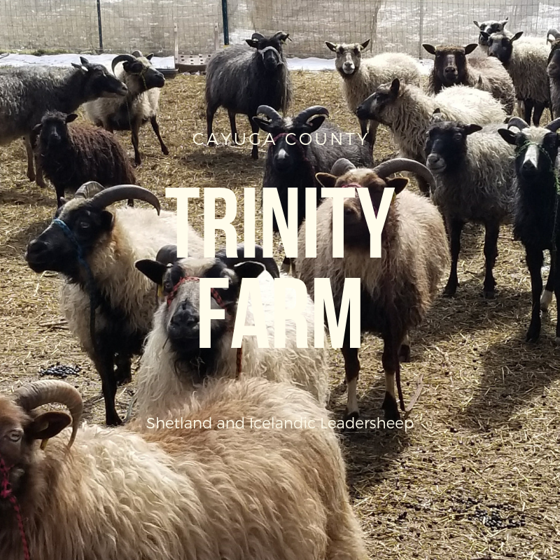 Trinity Farm – LocalFiber